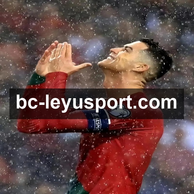 <strong>乐鱼体育</strong>App 示例图