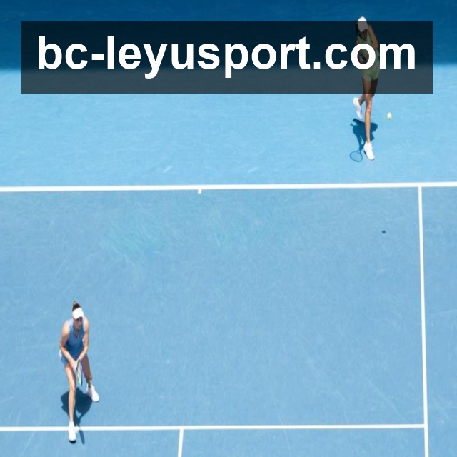 持续更新认证展示